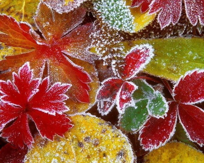 Серия... Осень...