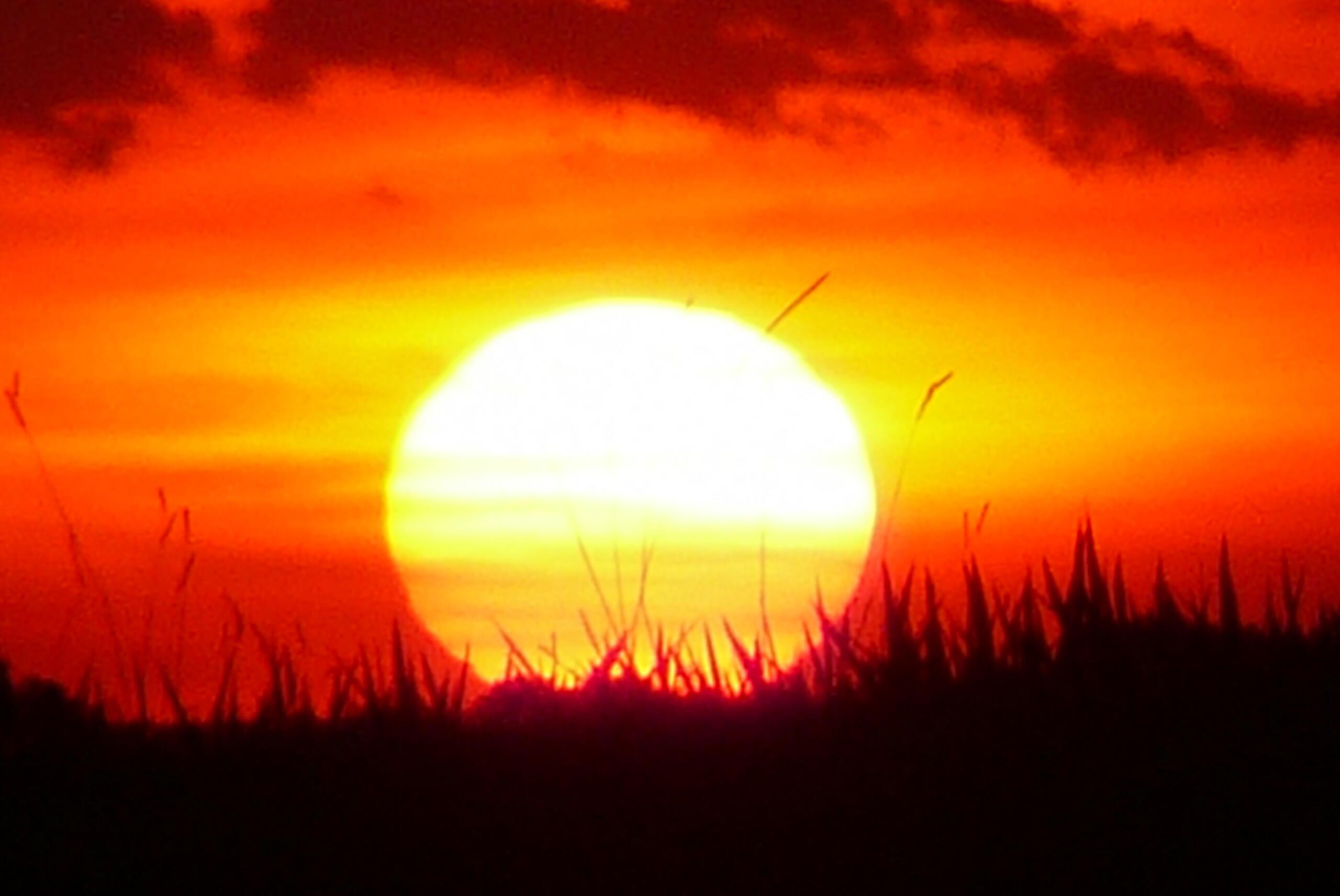 ГЛАЗА СОСКУЧИЛИСЬ ПО КРАСНОМУ ЗАКАТУ