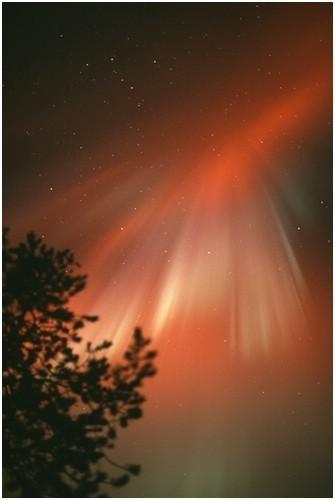 ЗАРЯ ВОСТОКА