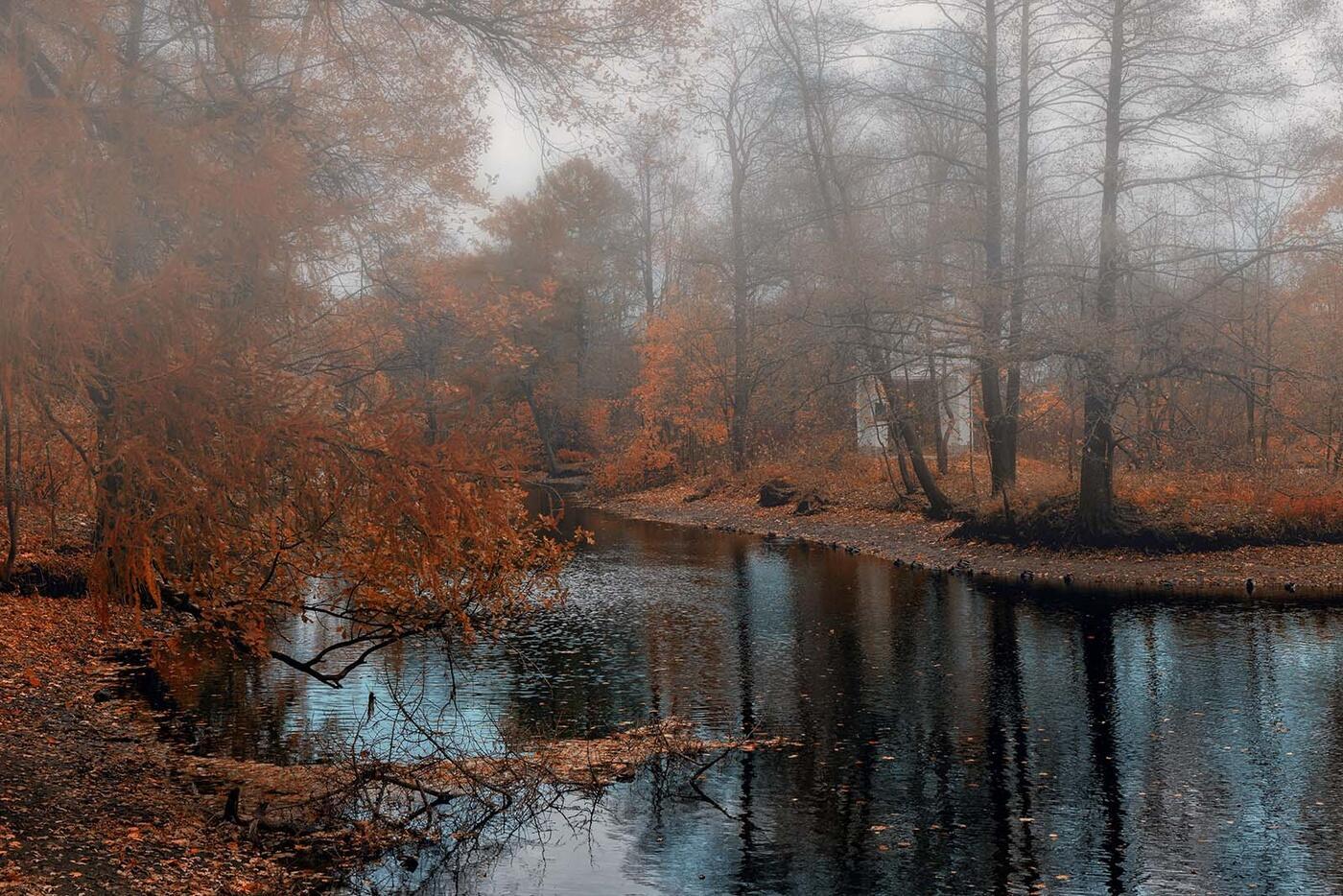 Осеннее движение