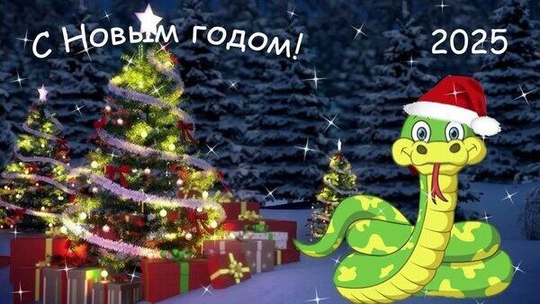 До свидания Год Змейки!!!