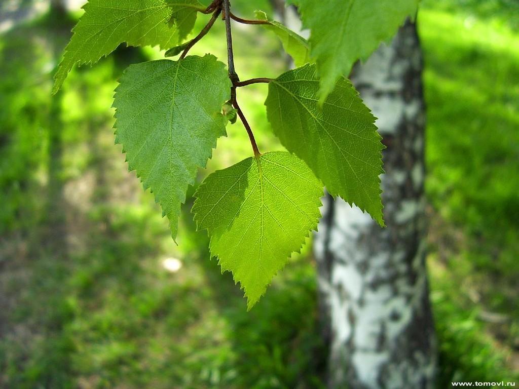Здесь без тебя.
