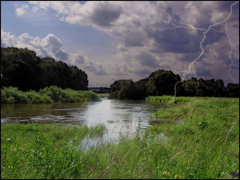 Встречают хмурясь выходные.