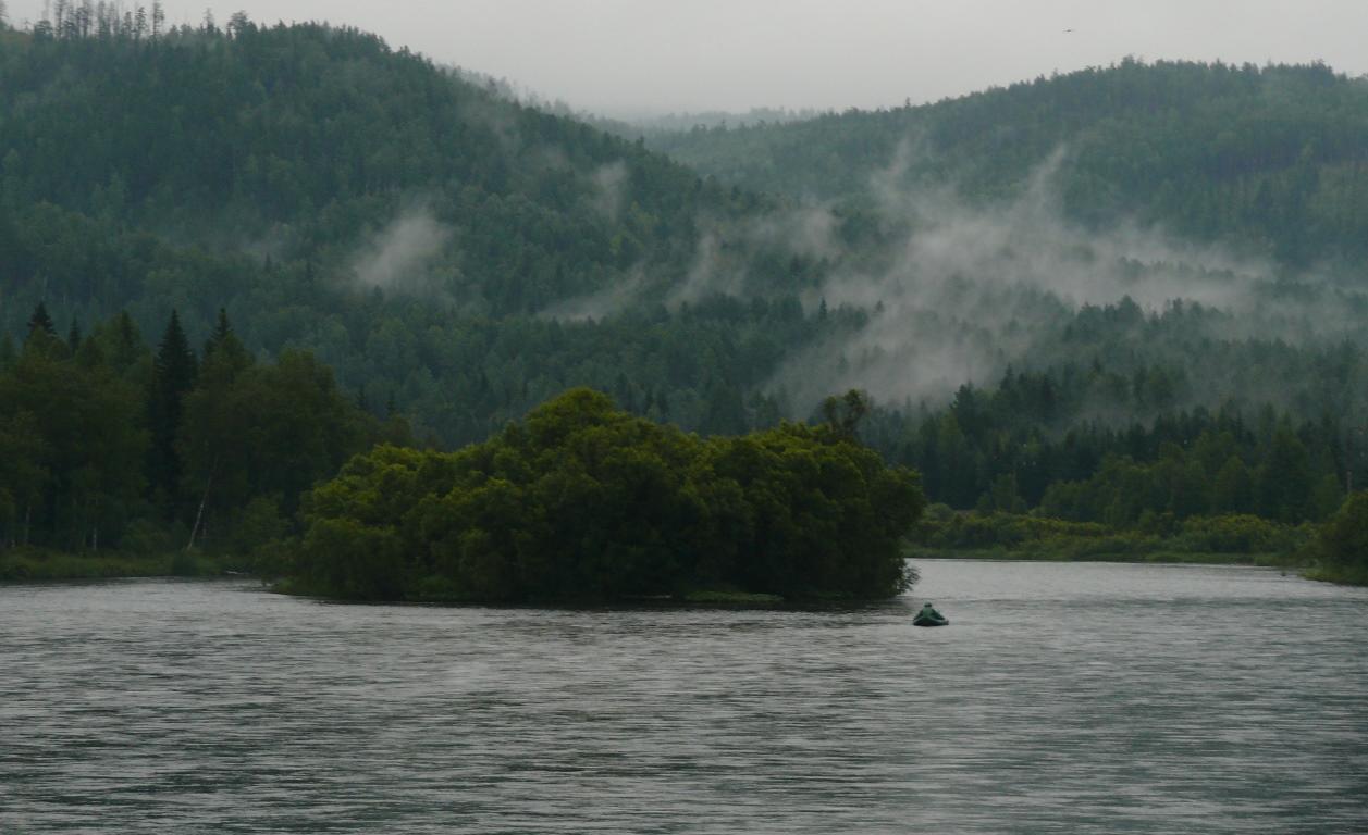 Низко стелется в лесу туман