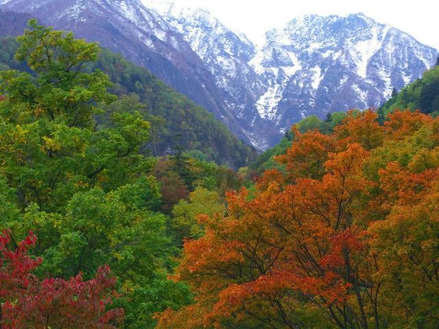 Осенняя песня (конкурс-танка )