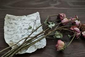 Человеческое