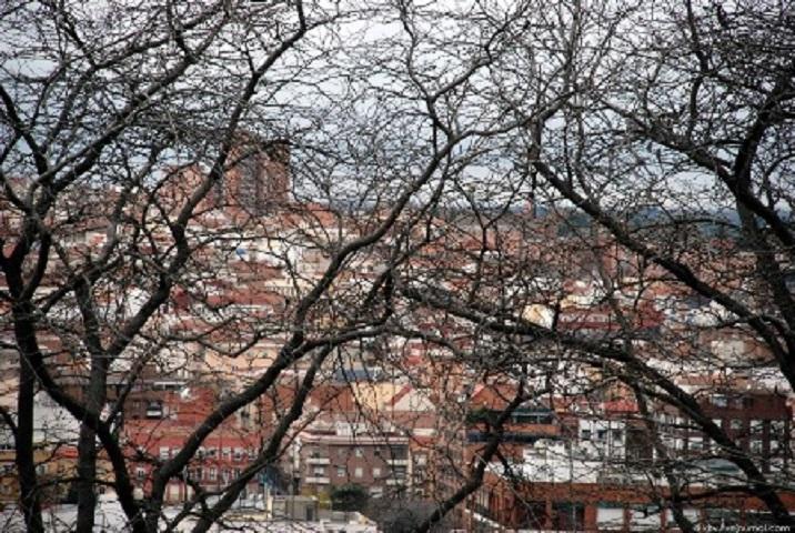 "Опалый день (Безмолвие)" (19.11.2012)