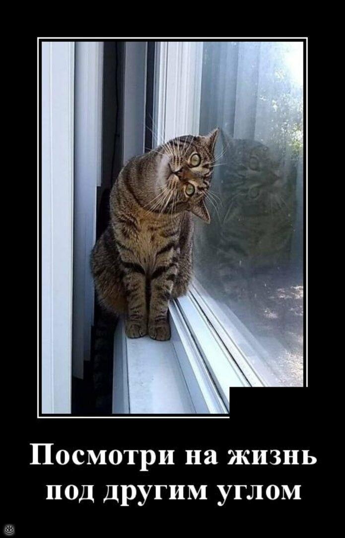  Только ввысь!