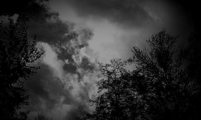 Прогулка перед сном