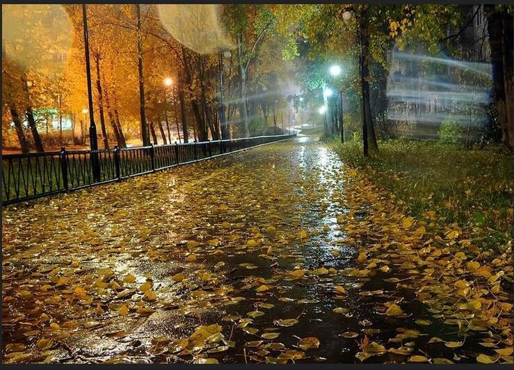Осенний дождь!!!