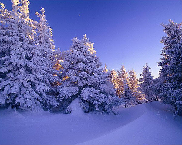 Протопчу дорожку средь снегов