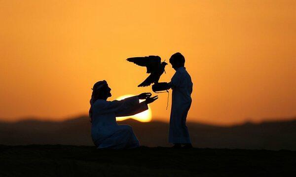 В раю серебряные листья