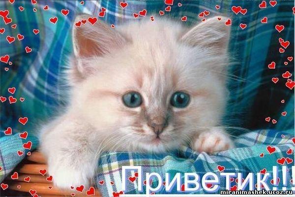 Эфир и чувства