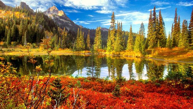 возвращение домой