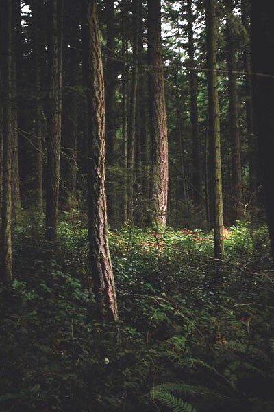 Там где-то тишина...