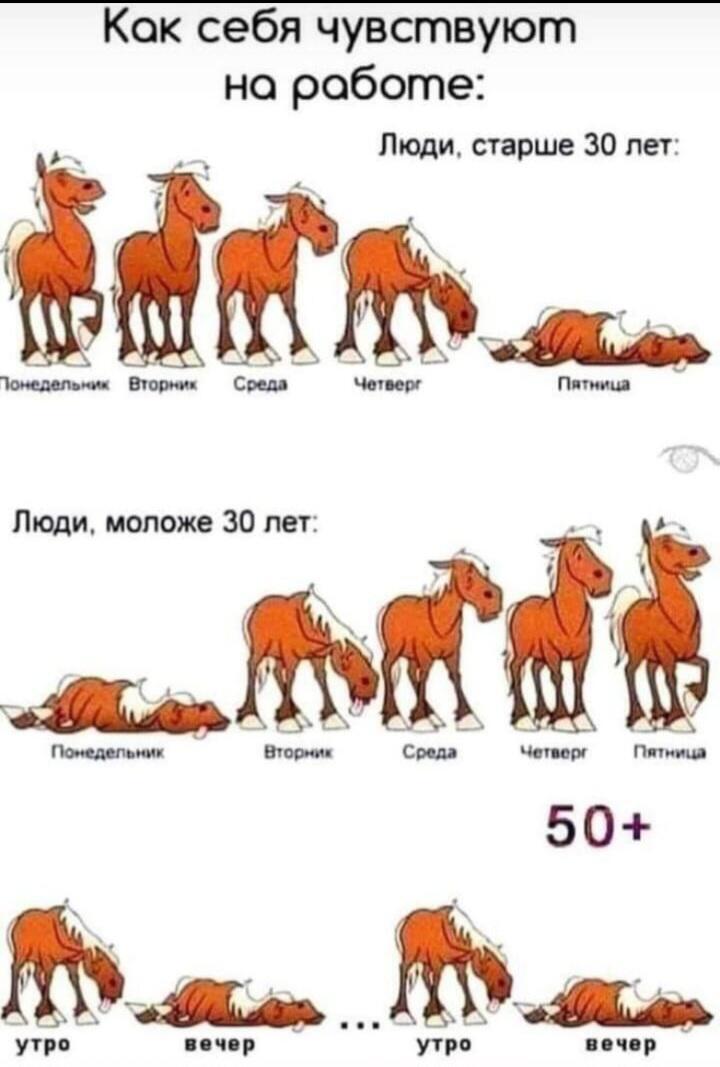 Я был выносливым конём