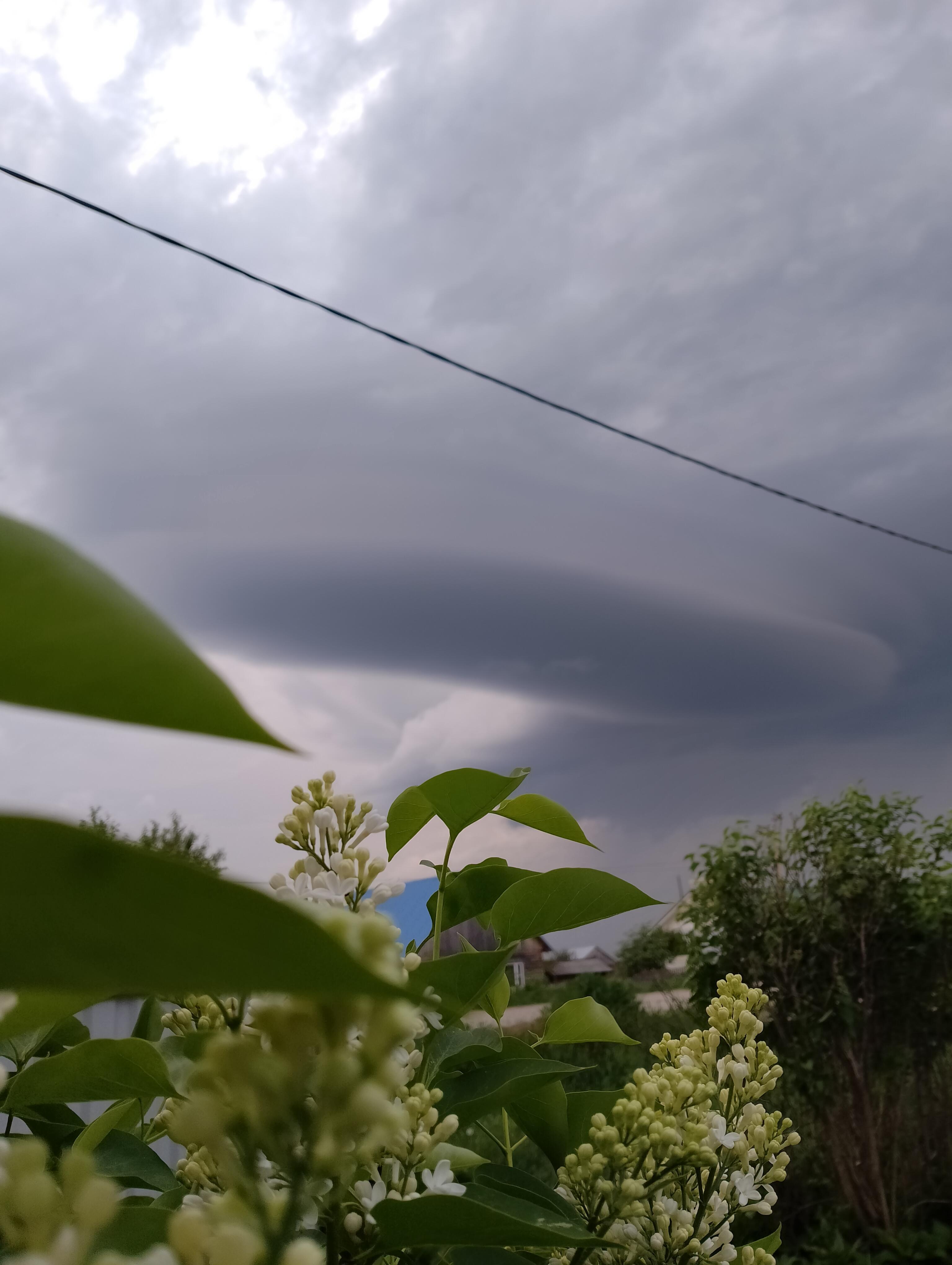 Офонарели фонари