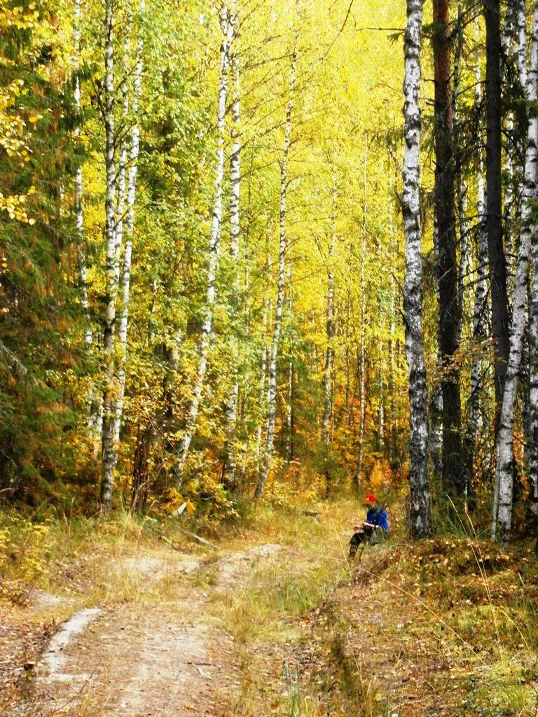 Русская берёзка/
