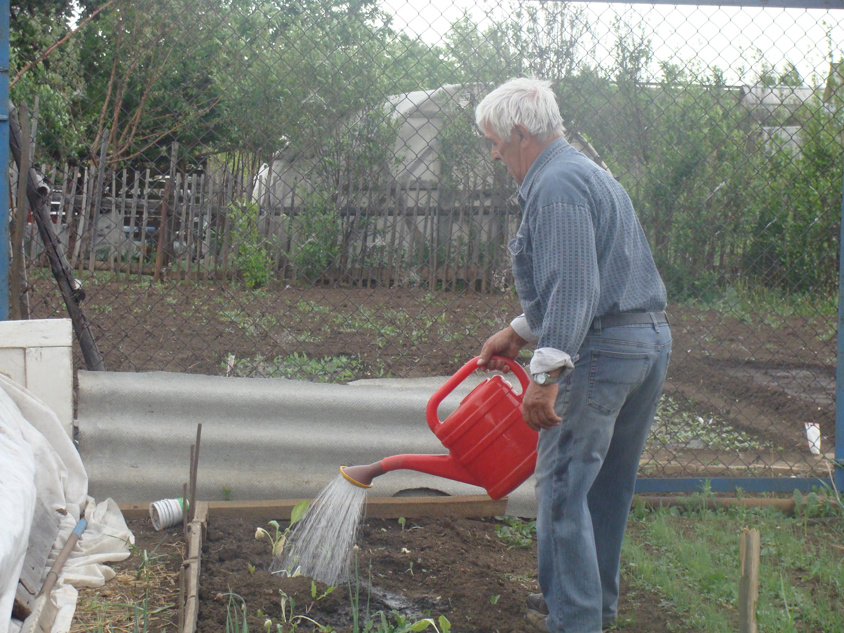 Сегодня деда огорчили