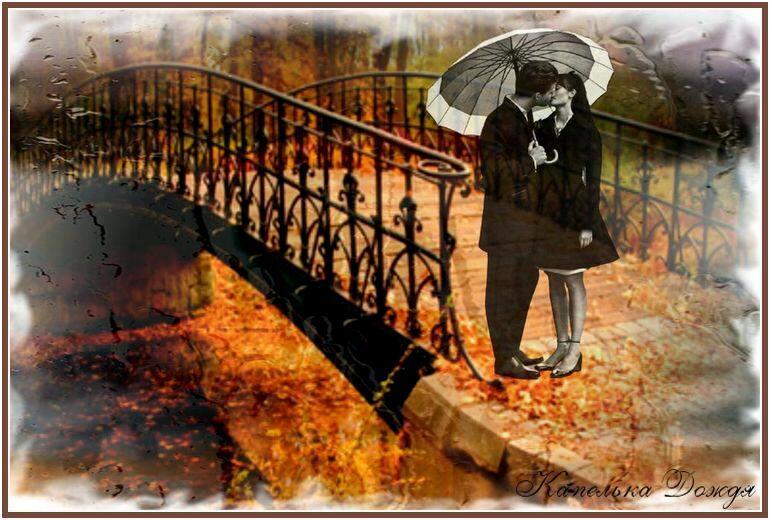 Осенние дожди....