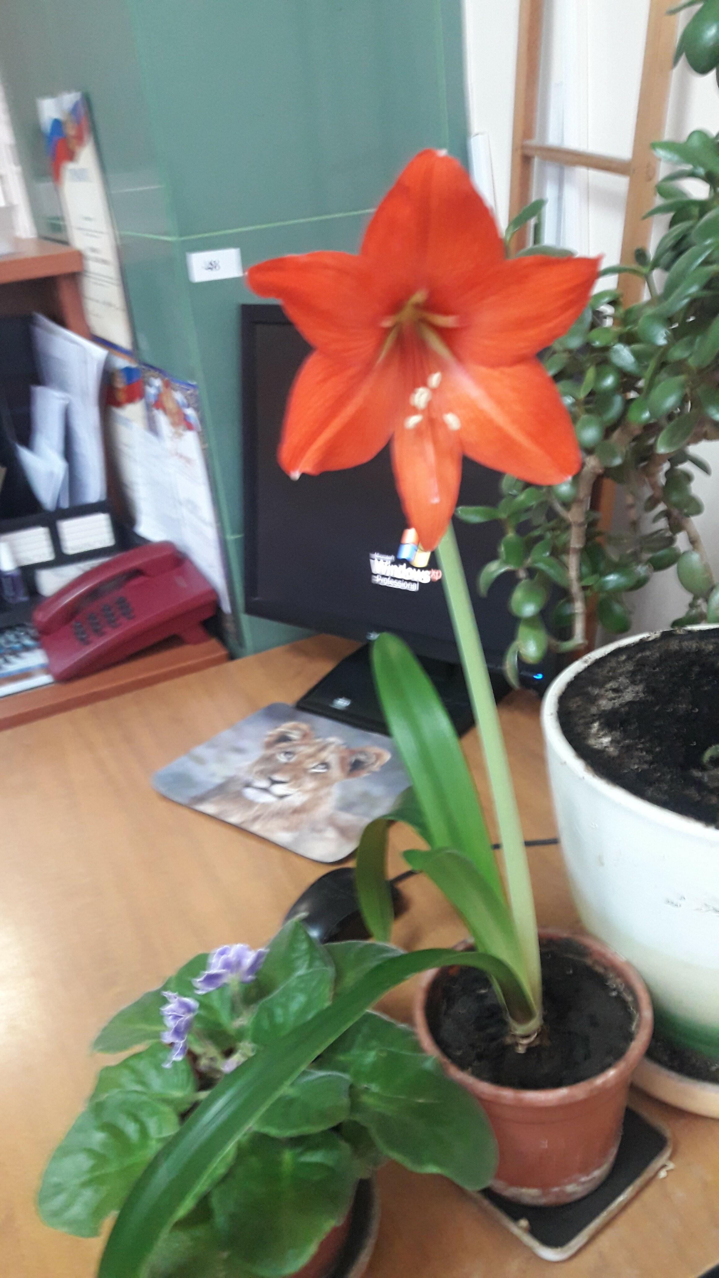 ЧУВСТВЕННО