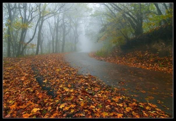 В поток горячей крови...