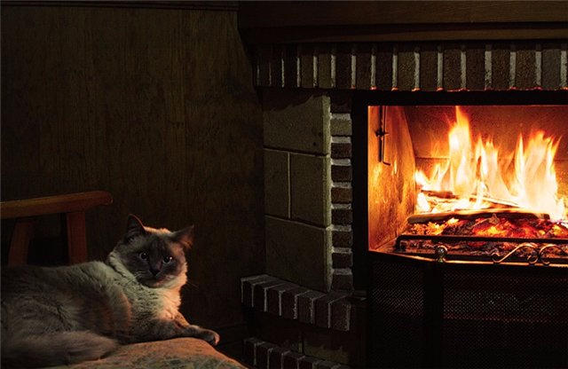 Мечтания о былом