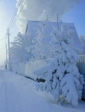 Деревенские страдания.