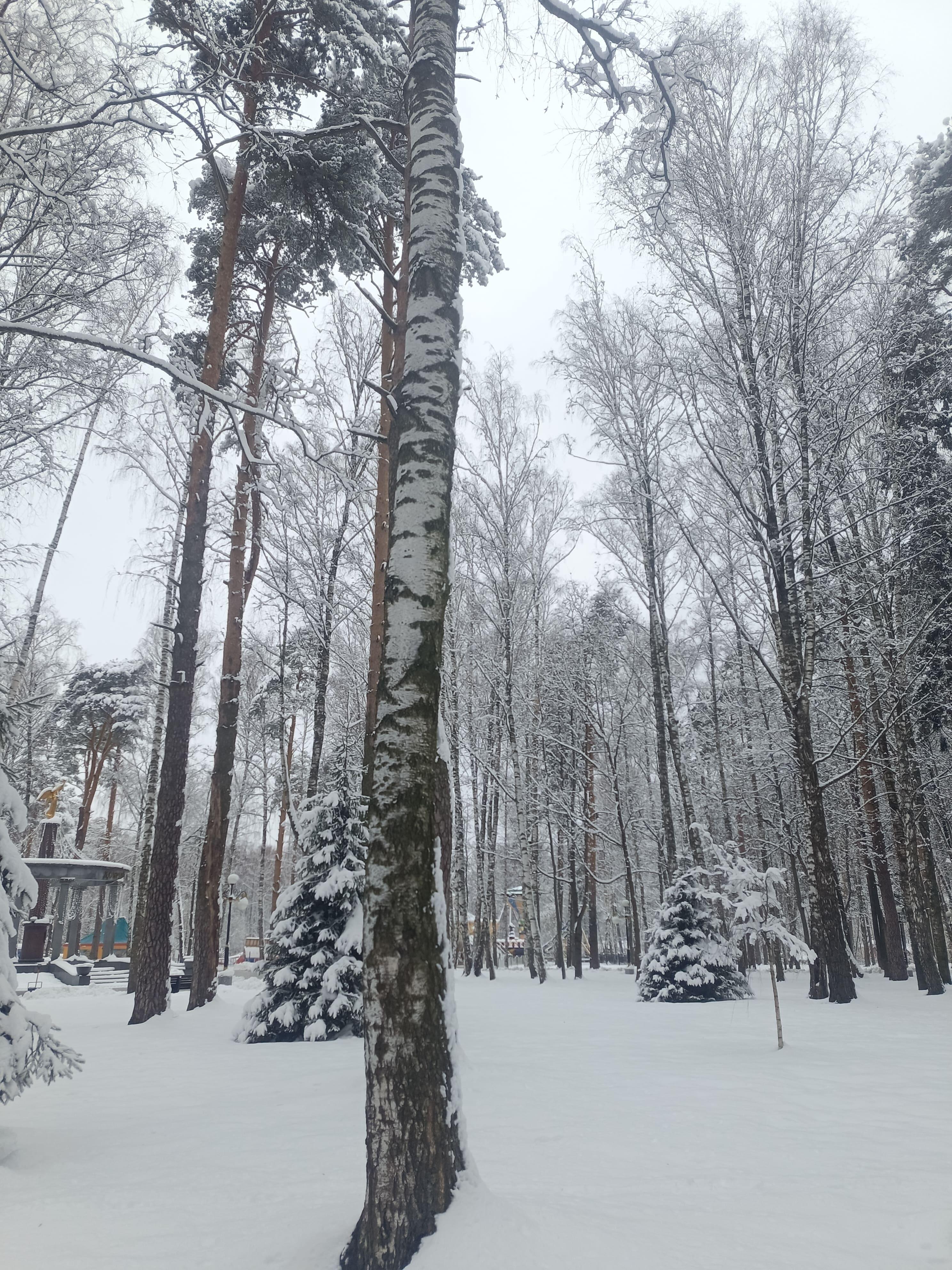 После снегопада