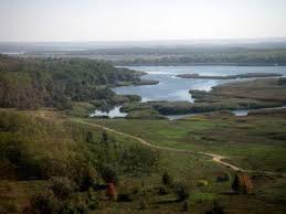 Все это лишь сон