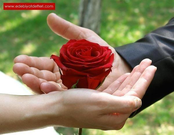 Дарите женщинам цветы