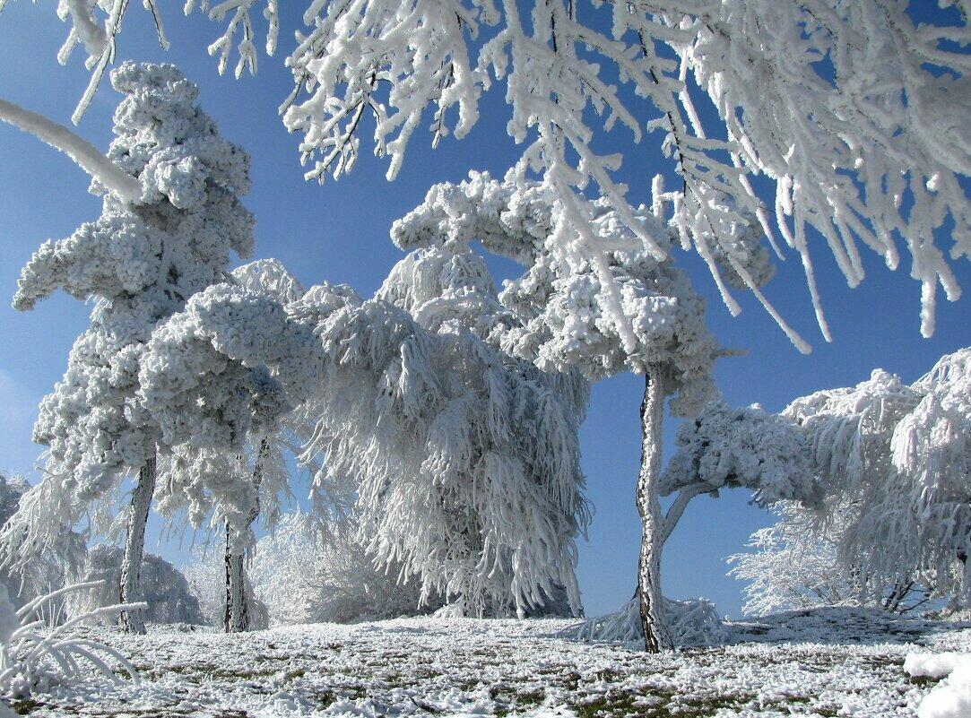 Мы любили друг друга "прозрачно"