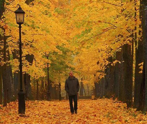 Жизнь прекрасна