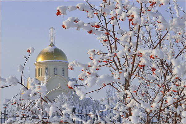 Снежный ангел