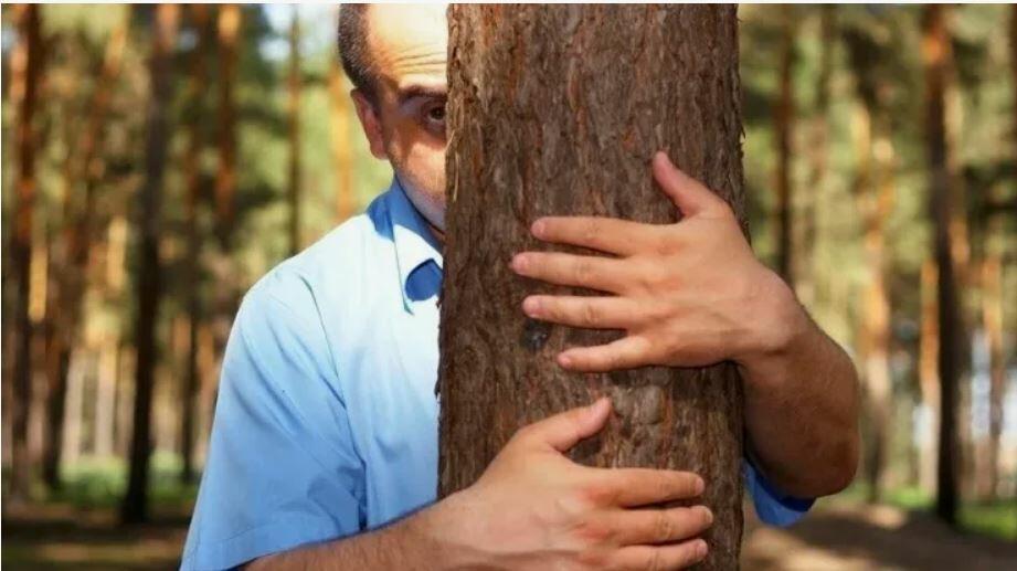 Неоднозначен лес осенний... (жутко-ироничное)