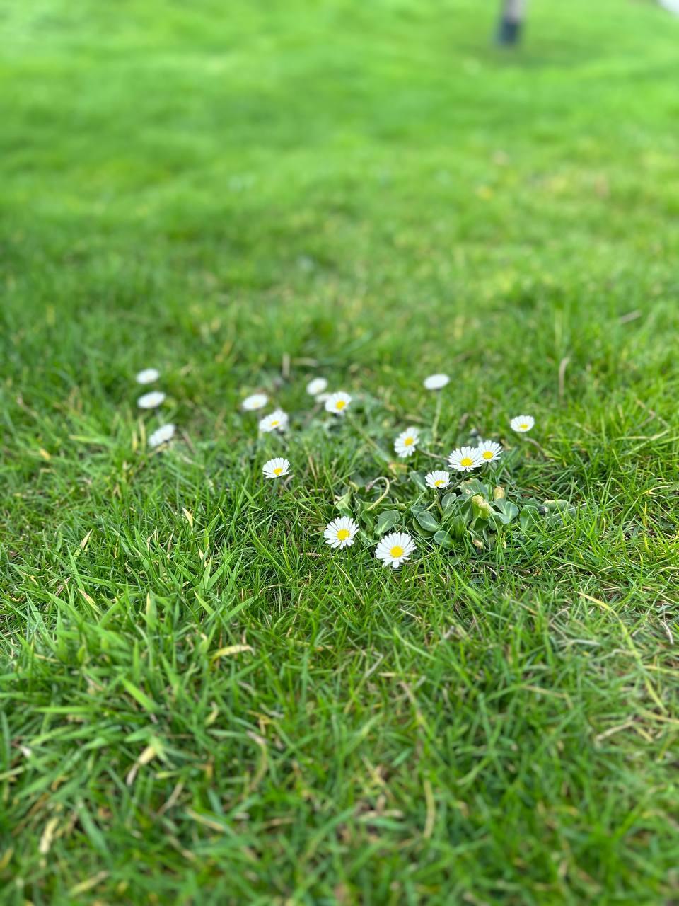 Трудно дышать без тебя (18+)