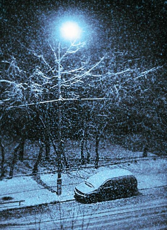 На землю падал тусклый свет луны