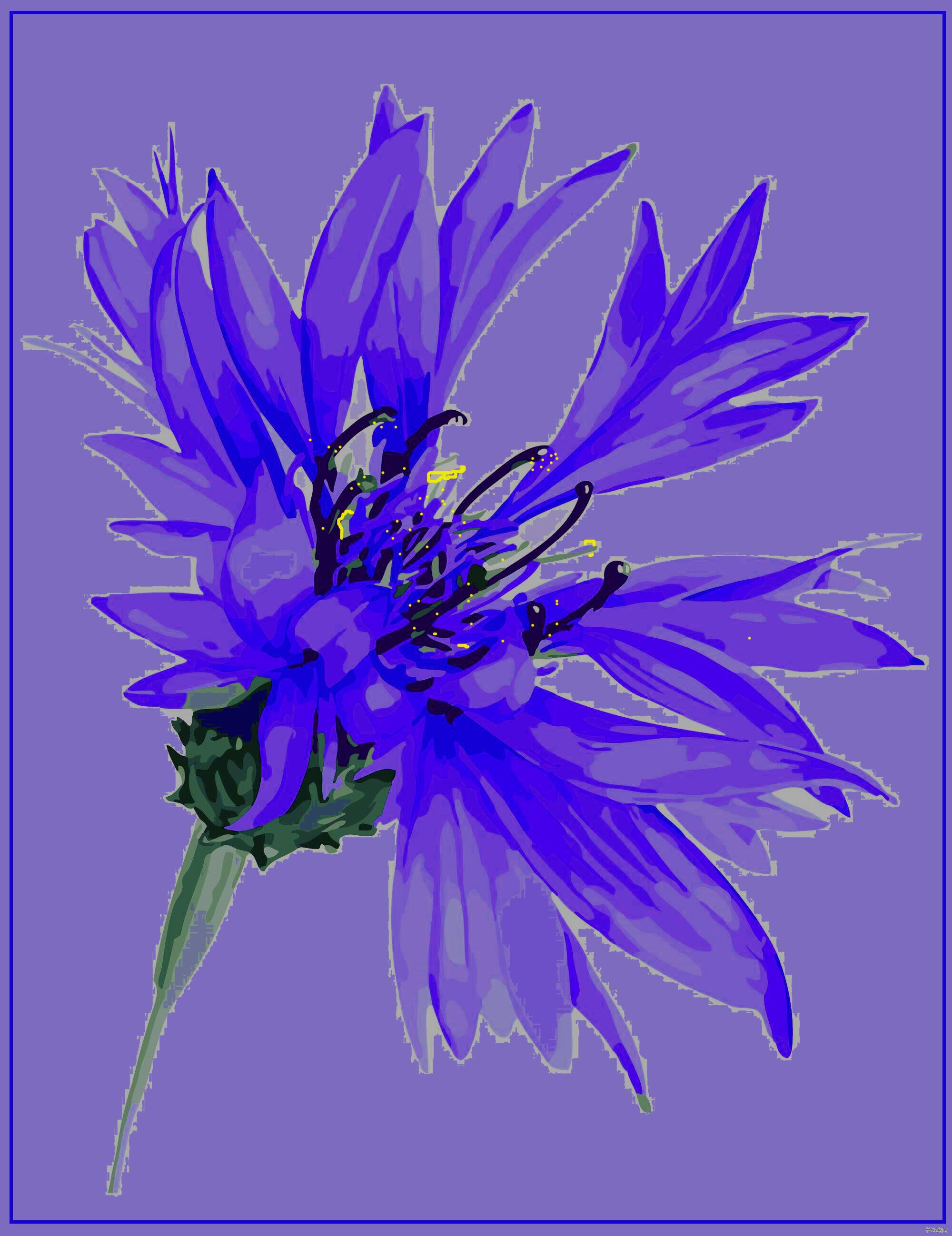 ФИОЛЕТОВАЯ НОЧЬ