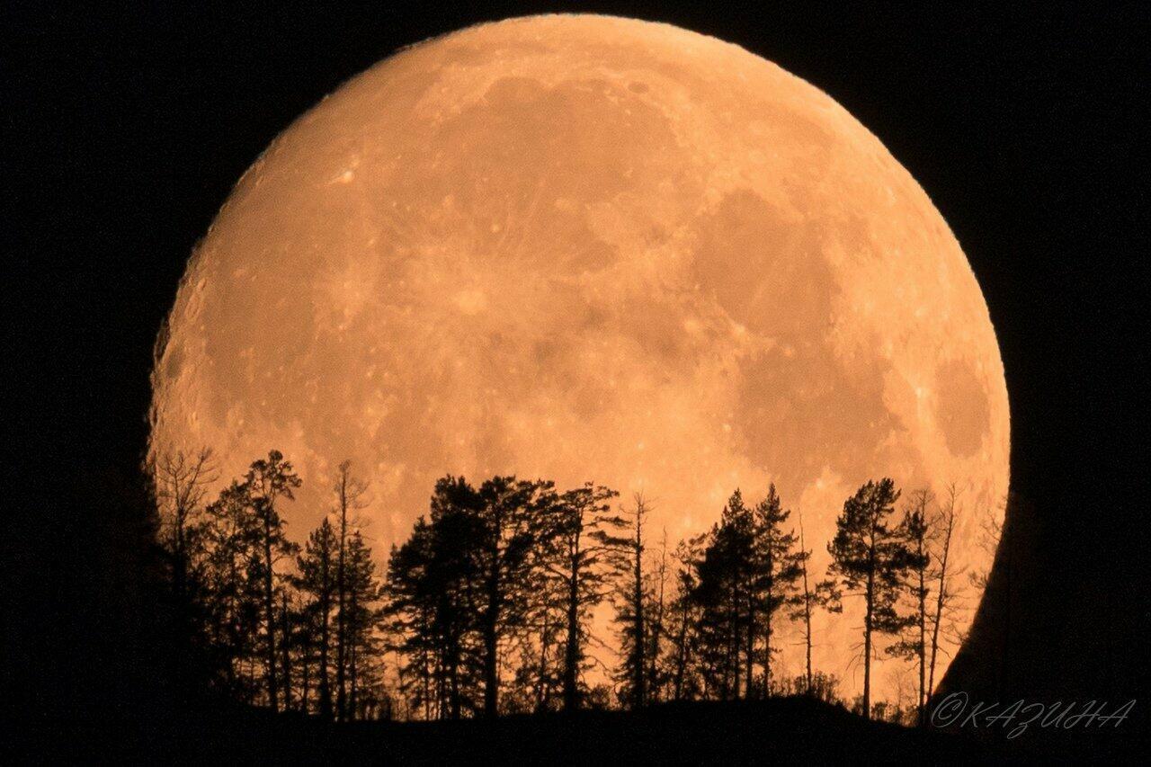 СВЕТИ  ЛУНА  В  СВОИХ  ПРОСТОРАХ