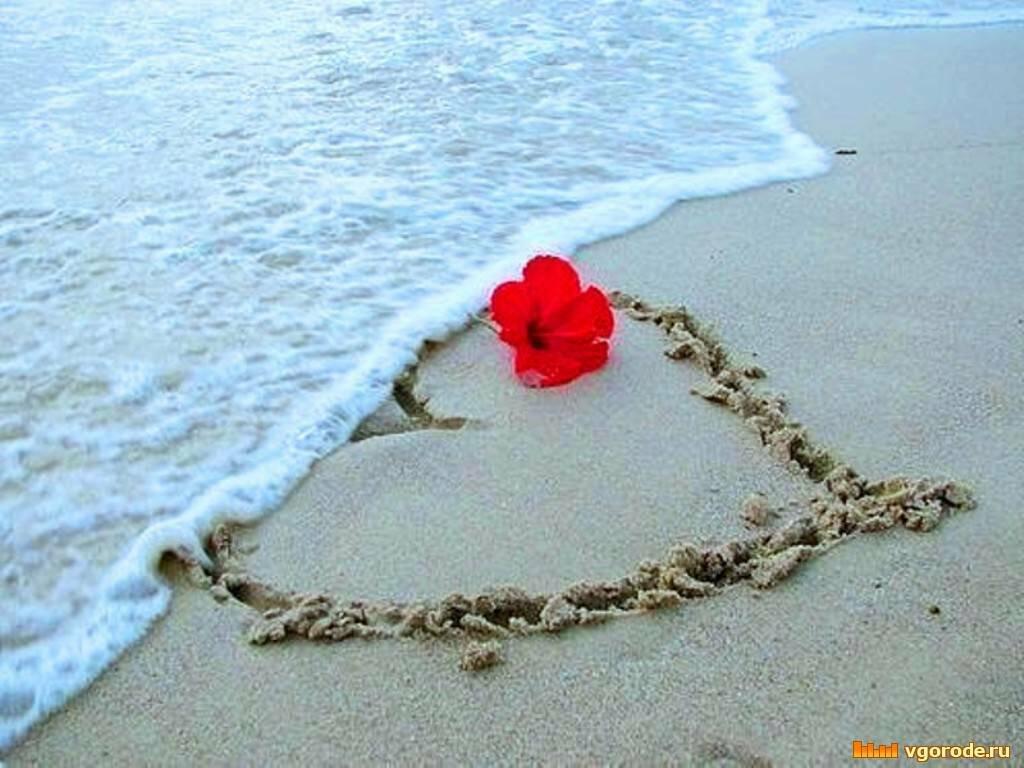 ВОЗВРАТА НЕТ