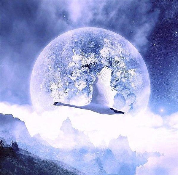 Величием...  Любви Твоей....