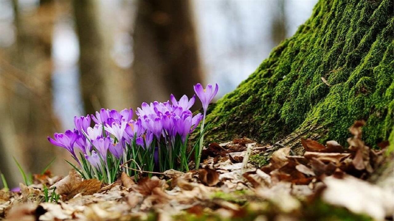 Когда-нибудь прольётся свет....