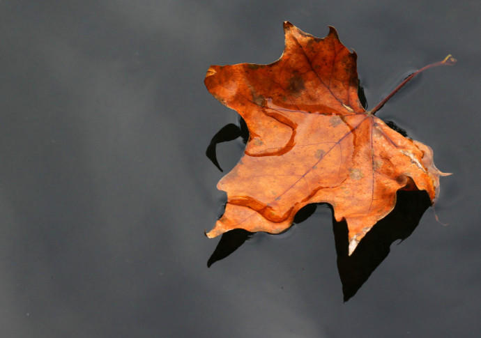 Бабье  лето.  Хокку