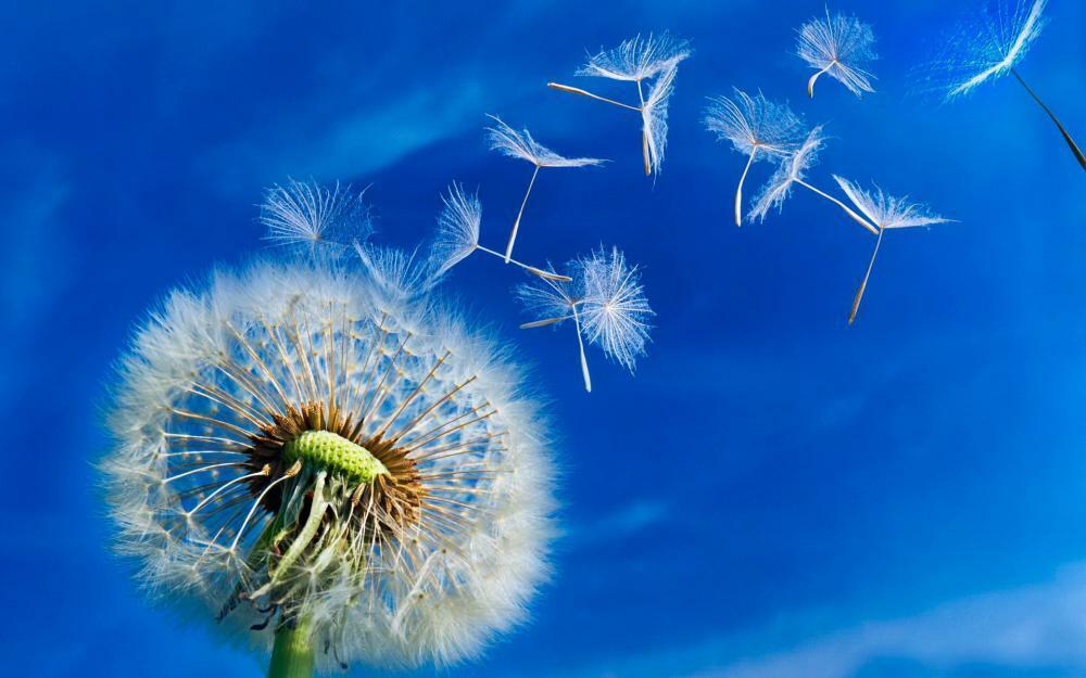 Стань вечностью, счастливое мгновенье!