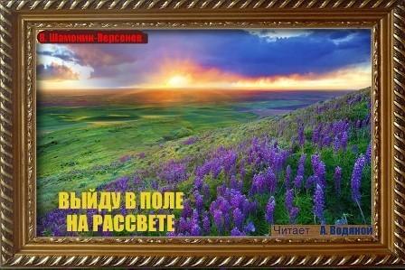 Выйду в поле на рассвете...