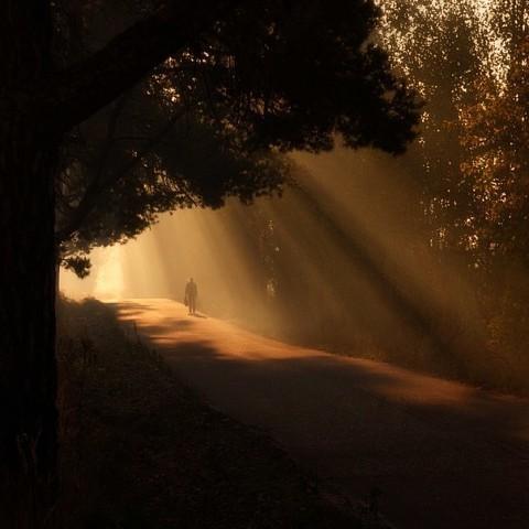 В конце тоннеля свет...