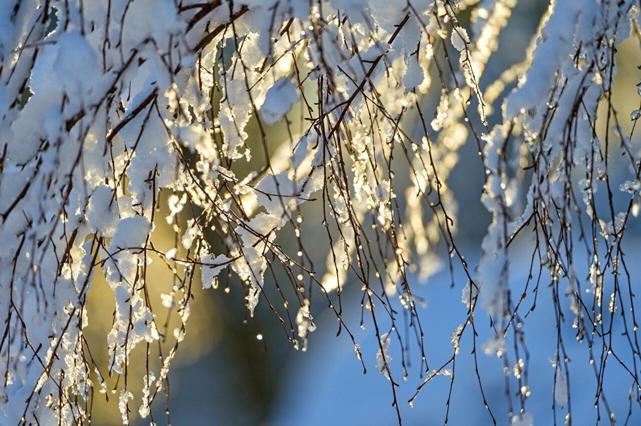 Прогулки вместе с февралем
