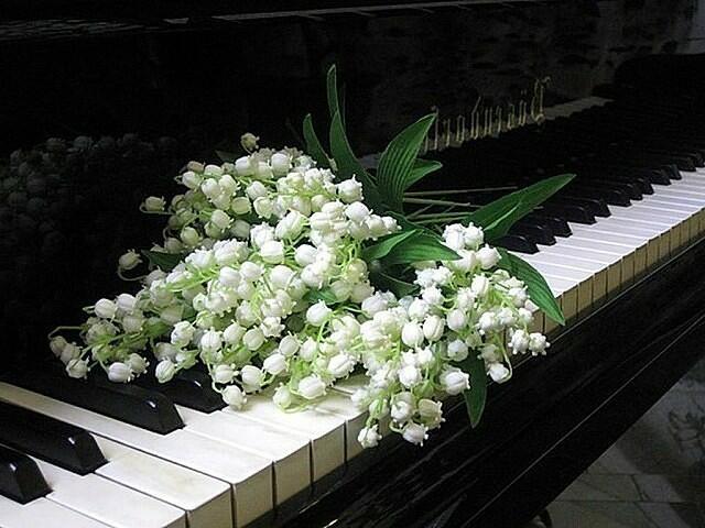 ТАКОВА ЖИЗНЬ