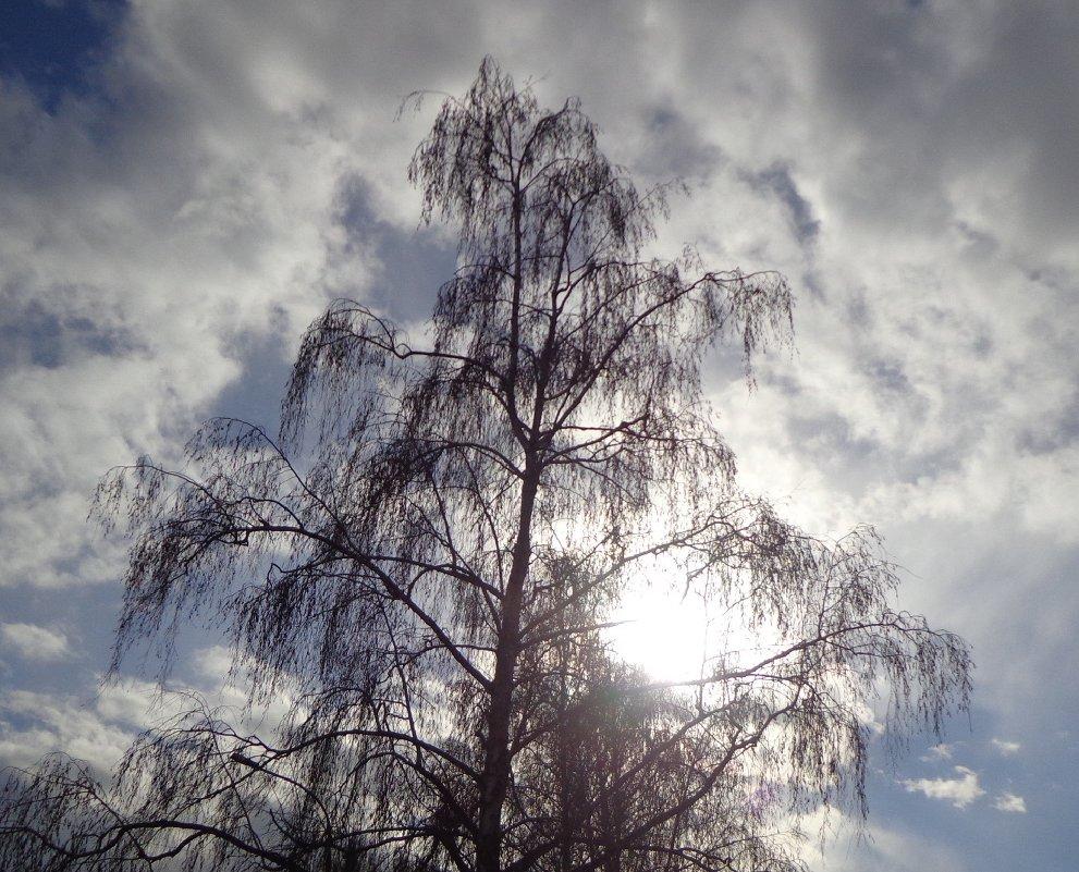 ПРОБИВАЕТСЯ СОЛНЦЕ С НЕБЕС.