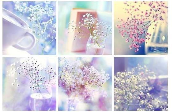 Не предавай